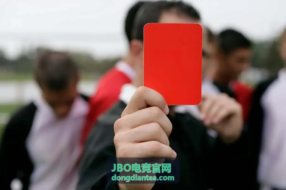 JBO电竞官网案例二